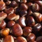 Frutta, verdura, ortaggi in offerta