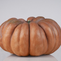 Frutta, verdura, ortaggi in offerta